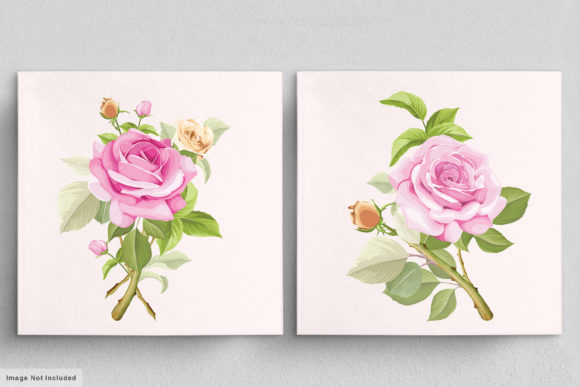 Download Beautiful Roses Hand Drawn Illustrations - Premium Bundle