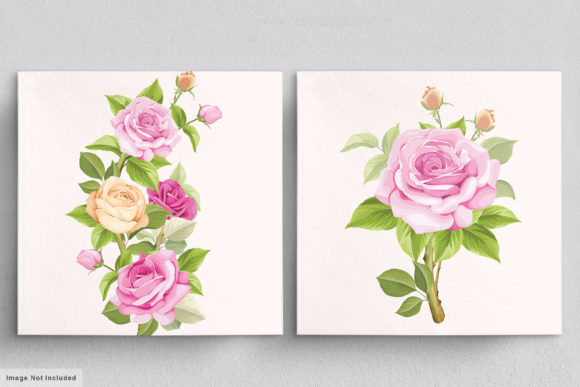 Download Beautiful Roses Hand Drawn Illustrations - Premium Resources