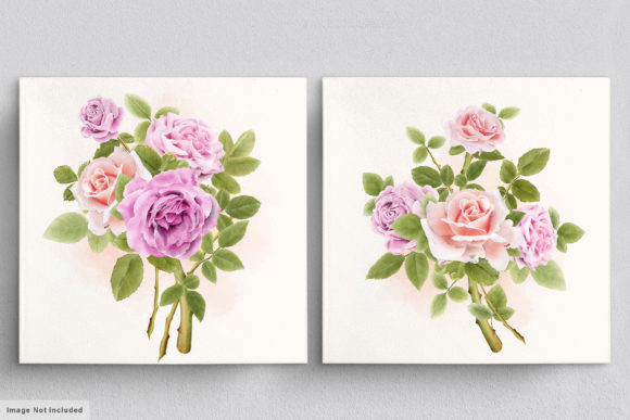 Download Beautiful Roses Hand Drawn Illustrations - Premium Bundle