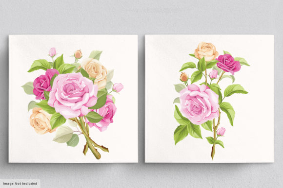 Download Beautiful Roses Hand Drawn Illustrations - Premium Resources