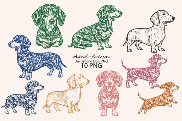 Download Hand-drawn Dachshund Dog PNG - Png Collection