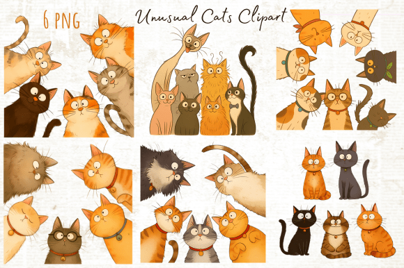 Download Funny Unusual Cats Clipart Png - Png Collection