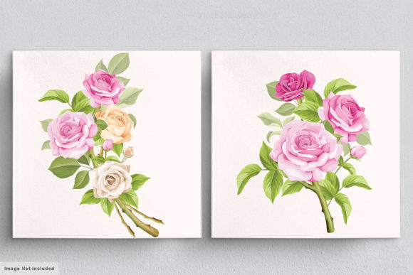 Download Beautiful Roses Hand Drawn Illustrations - Premium Resources