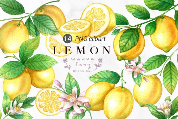 Download Lemon Fruit Watercolor Clipart, PNG - Png Collection