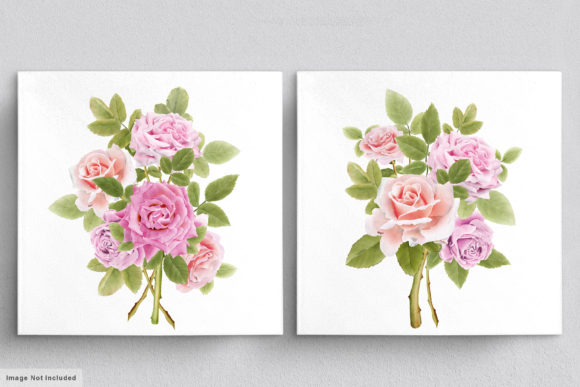 Download Beautiful Roses Hand Drawn Illustrations - Premium Bundle