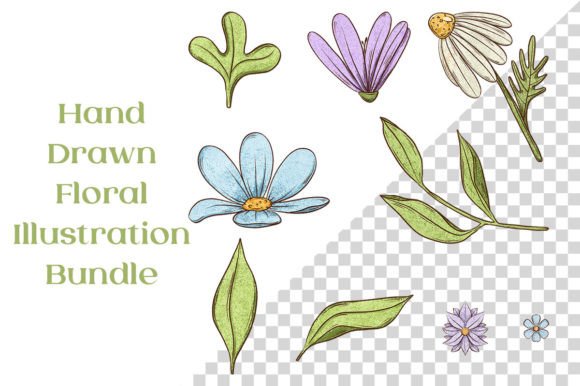 Download Cute 9 Floral Hand Drawn Illustrations - Hand drawn illustrations Collection