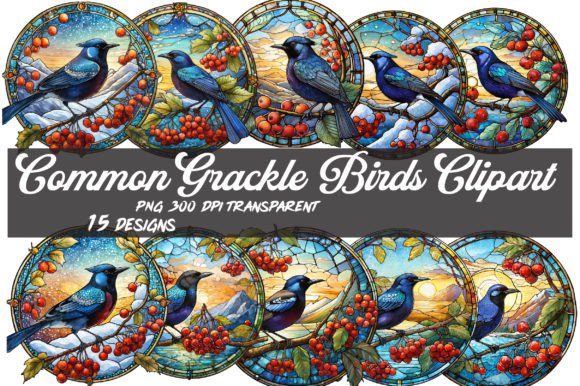 Download Common Grackle Bird Clipart PNG - Png Collection